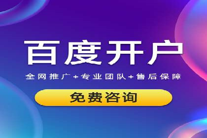 SEM运营推广策略：成功案例解析